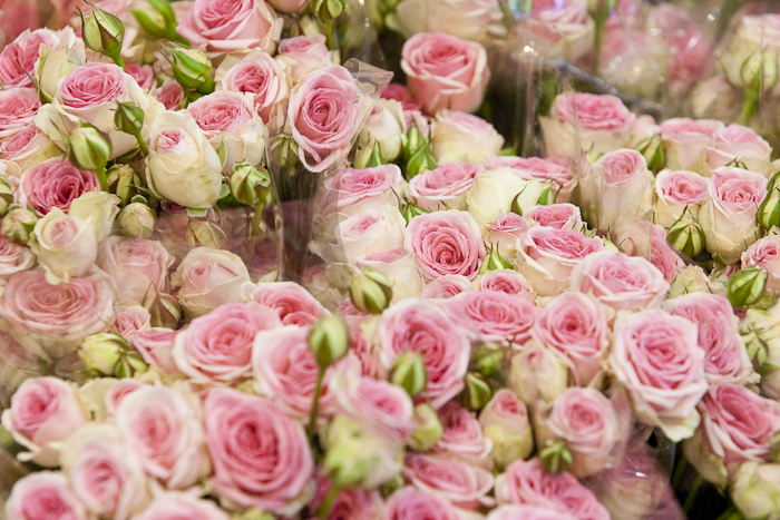 MIN RUNGIS-Fleurs-60.jpg